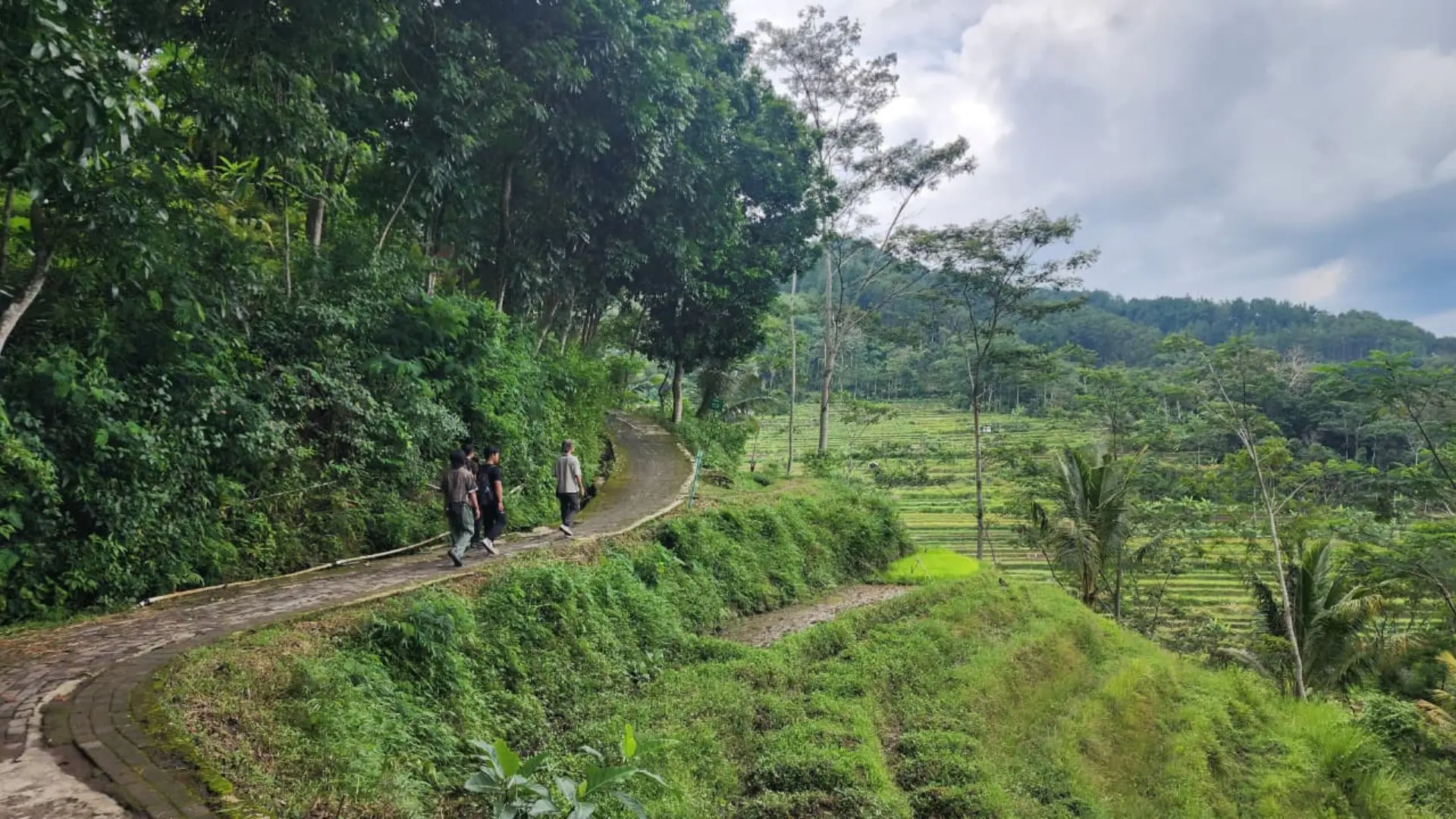 Rice Terraces of Selogriyo